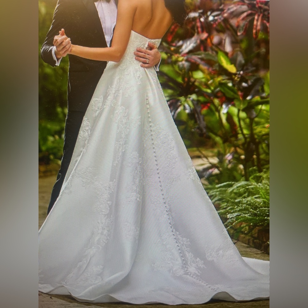 New Plus-Size Wedding Dress - Picture 2 of 9